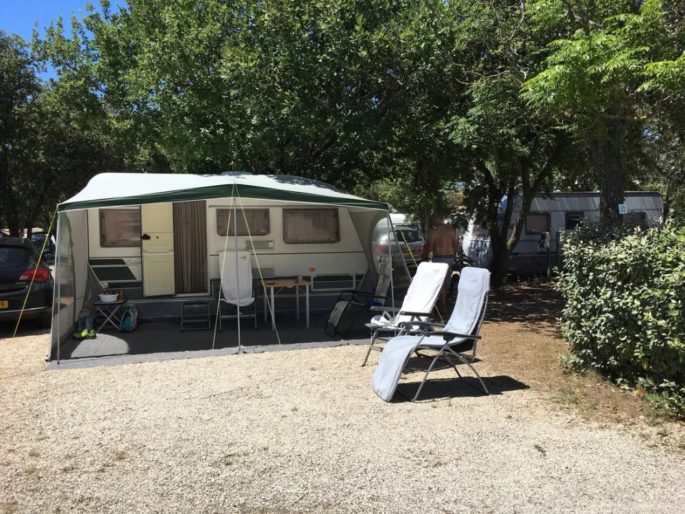 Marcel van der Cammen