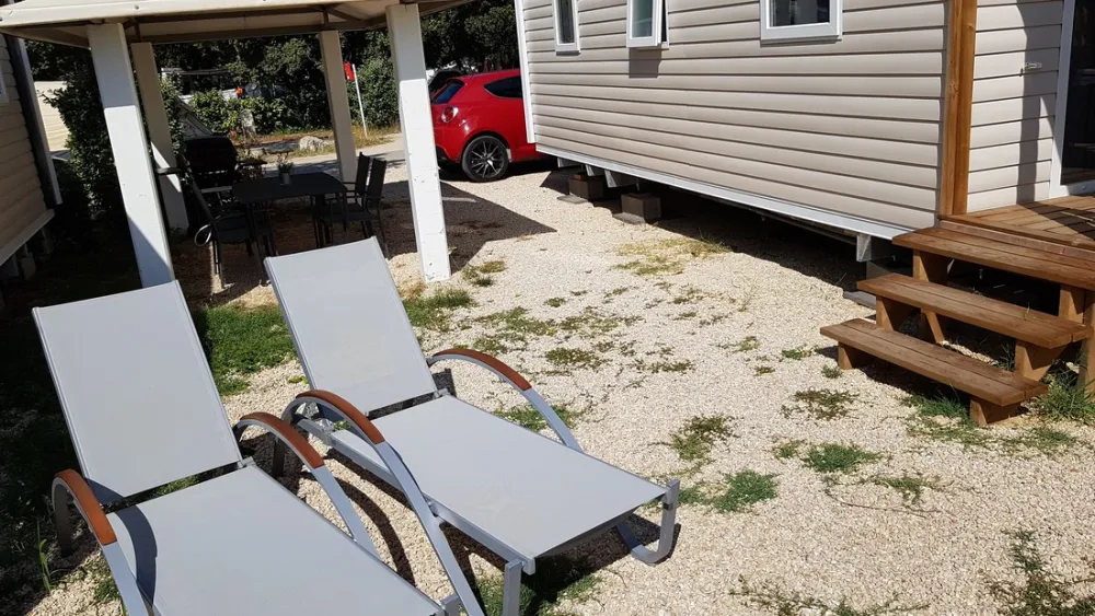 Marcel van der Cammen