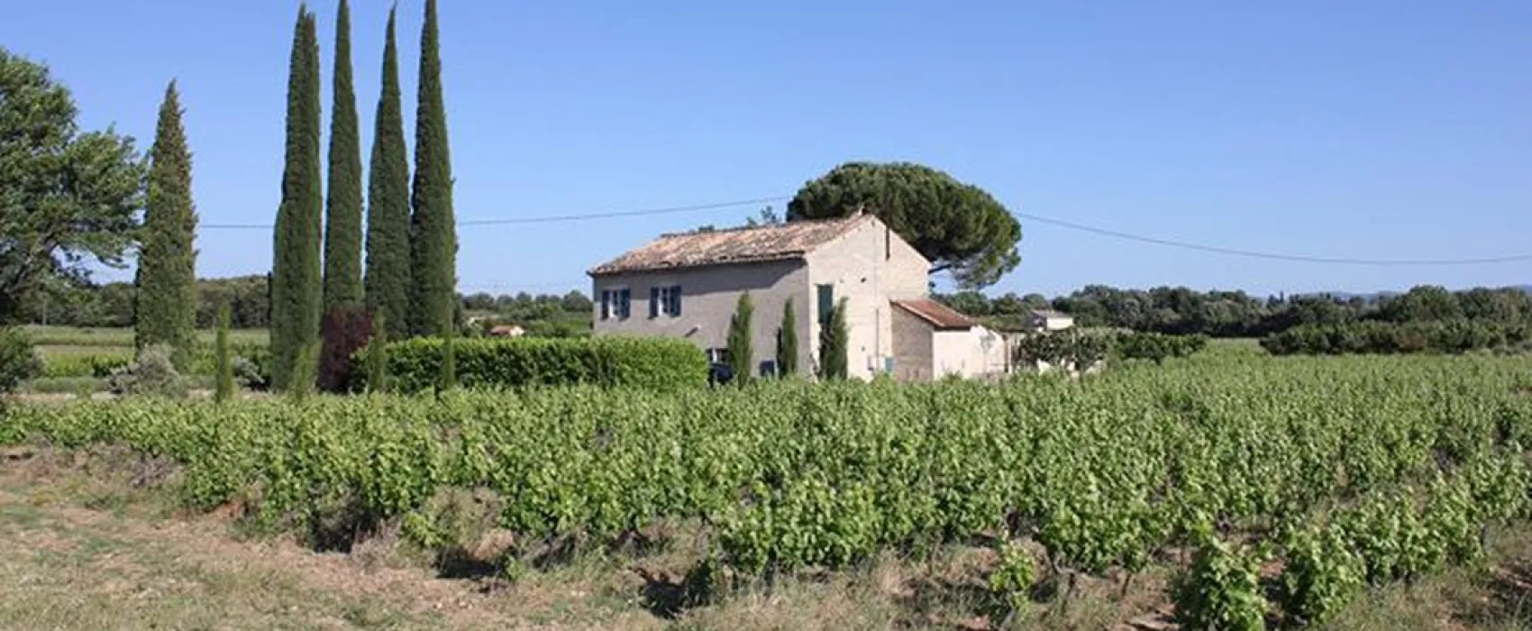 Marcel van der Cammen