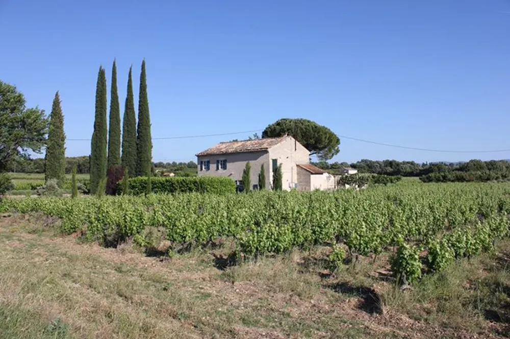 Marcel van der Cammen