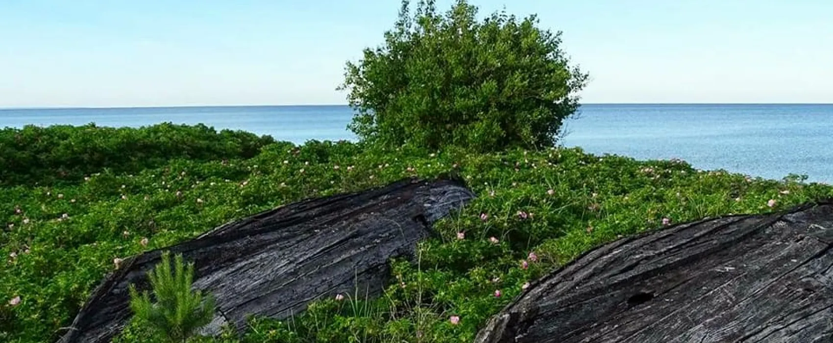 Rigelejestrand Camping