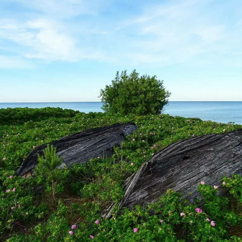 Rigelejestrand Camping