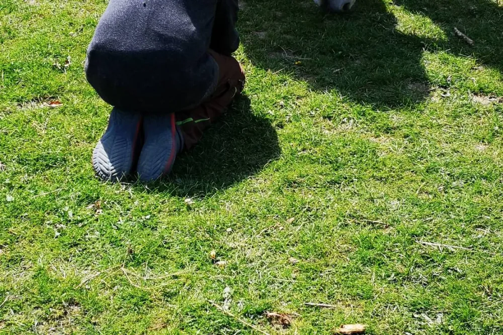 Monikas Ferienhof Familotel Sauerland