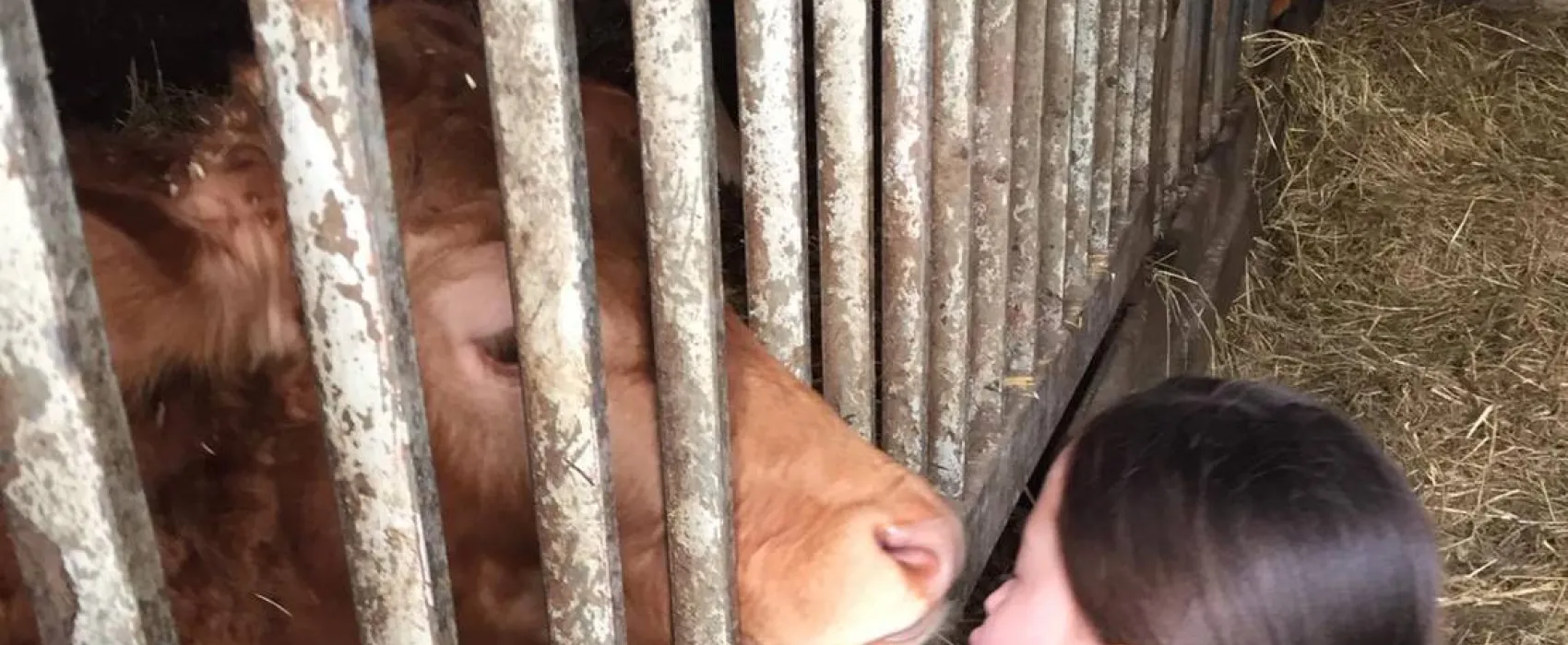 Monikas Ferienhof Familotel Sauerland