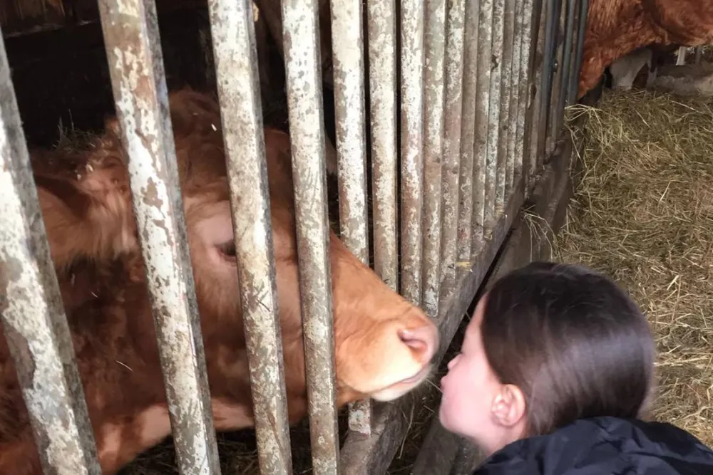 Monikas Ferienhof Familotel Sauerland