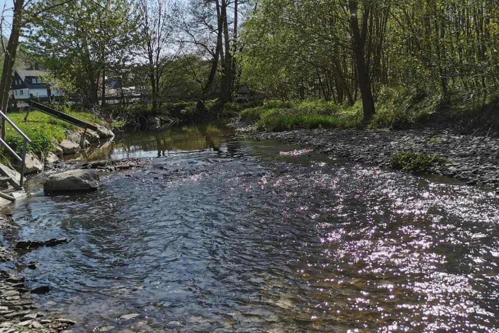 Monikas Ferienhof Familotel Sauerland