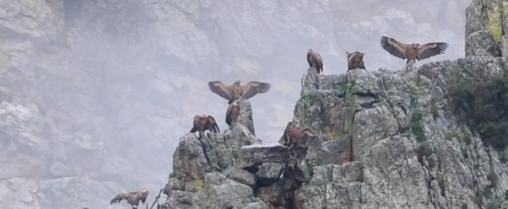 Camping Puerto Peña