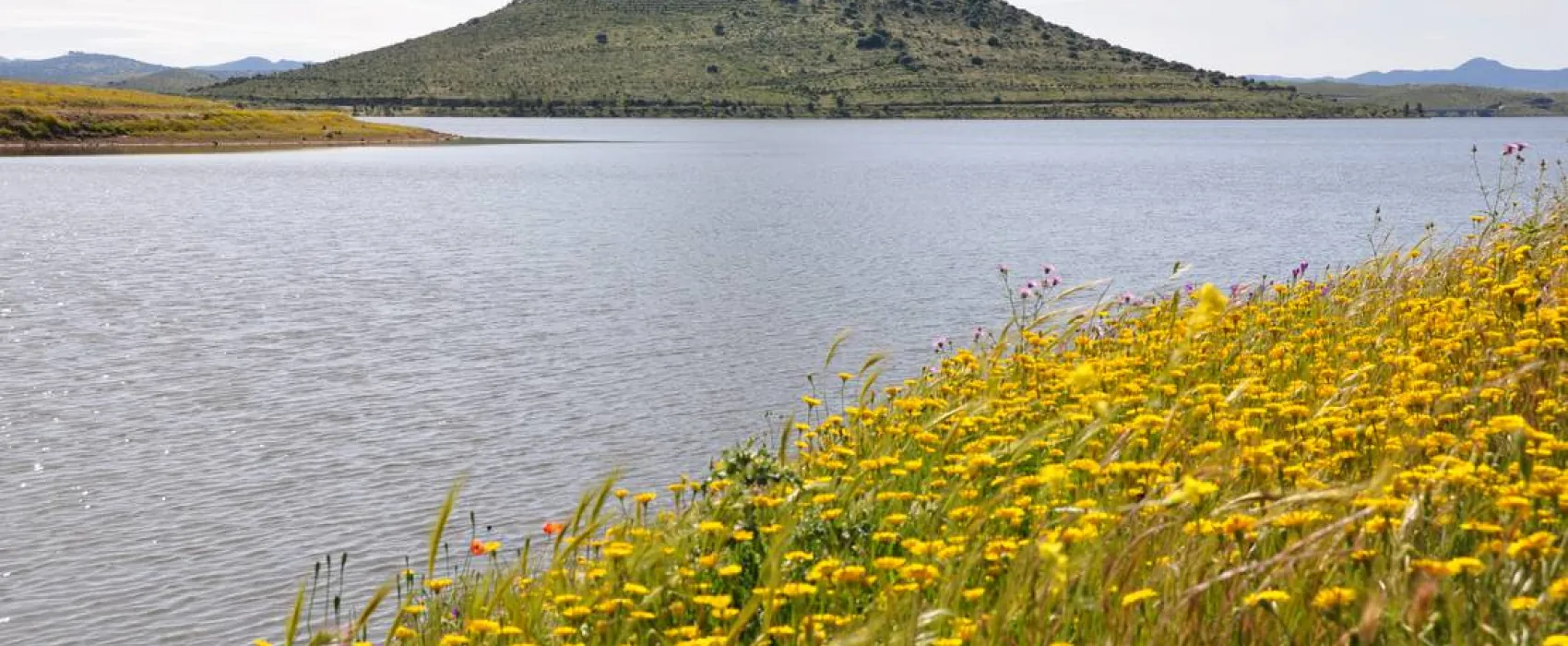 Camping Puerto Peña