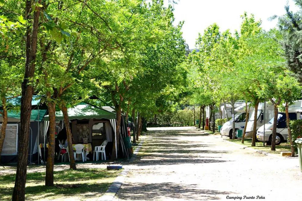 Camping Puerto Peña