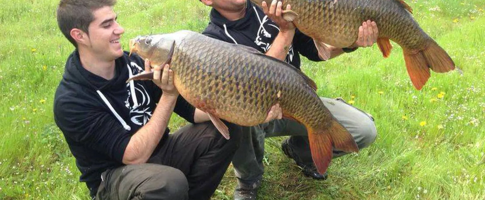 Camping Puerto Peña