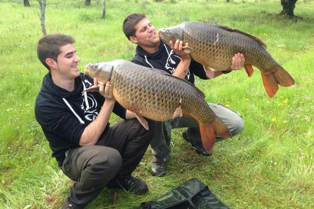 Camping Puerto Peña