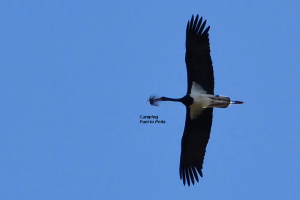 Camping Puerto Peña
