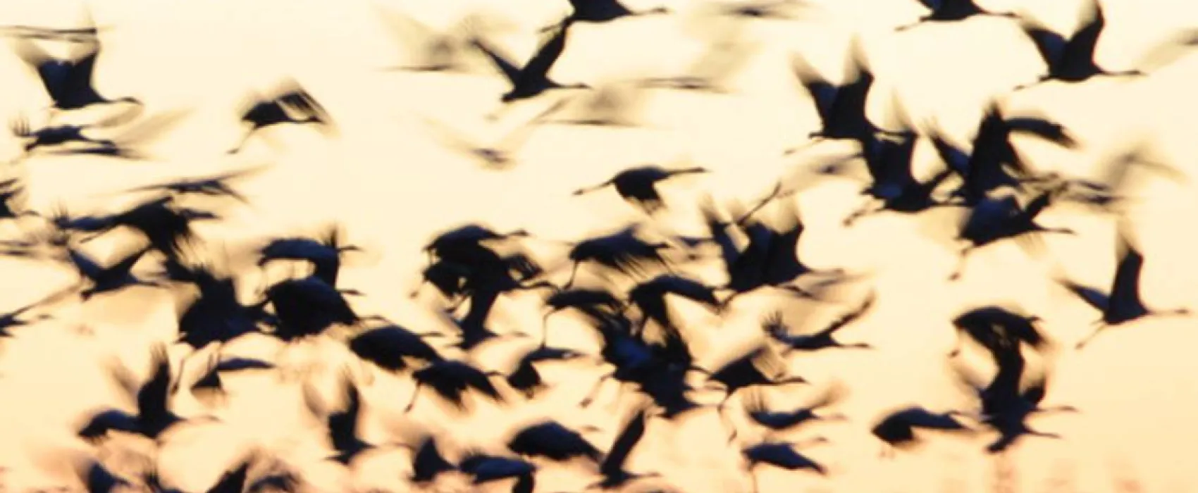 Camping Puerto Peña