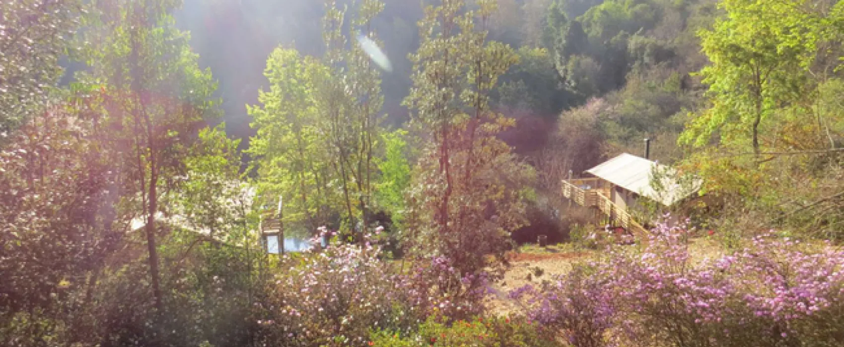 AfriCamps at Magoebaskloof