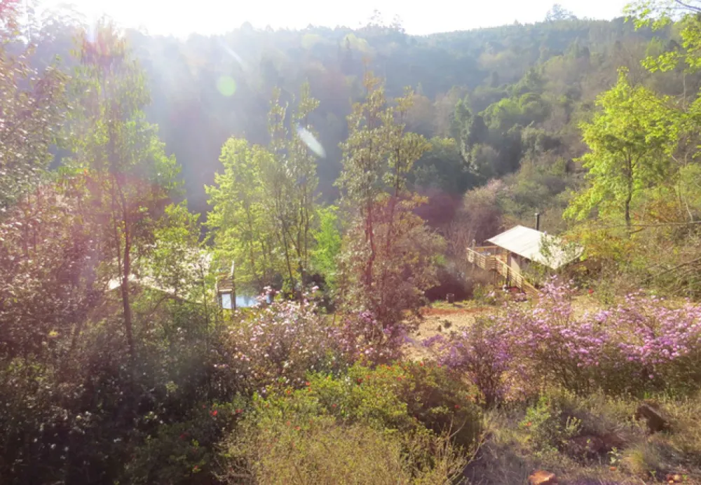 AfriCamps at Magoebaskloof