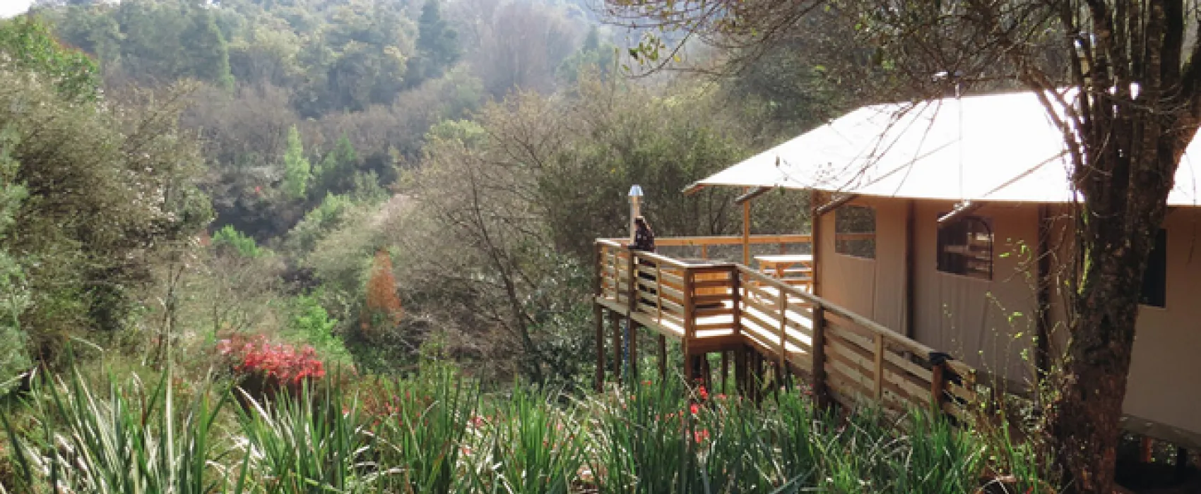 AfriCamps at Magoebaskloof