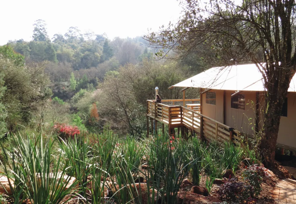 AfriCamps at Magoebaskloof