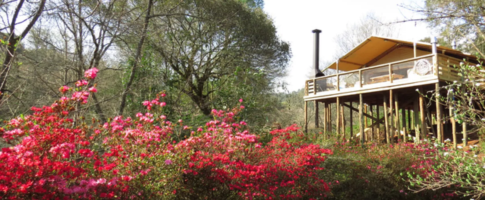 AfriCamps at Magoebaskloof