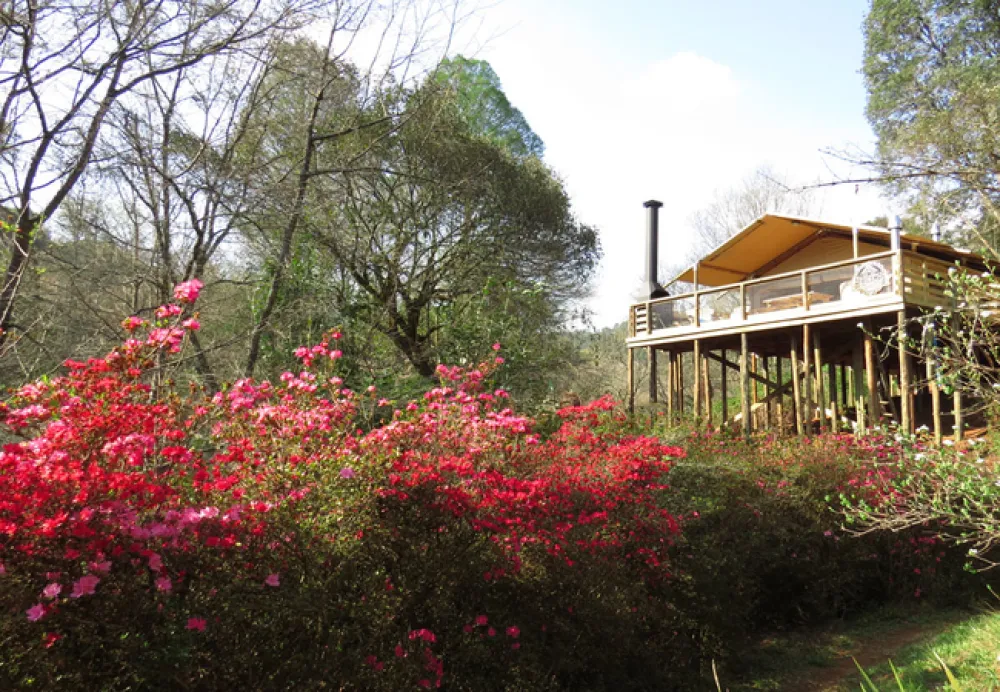 AfriCamps at Magoebaskloof