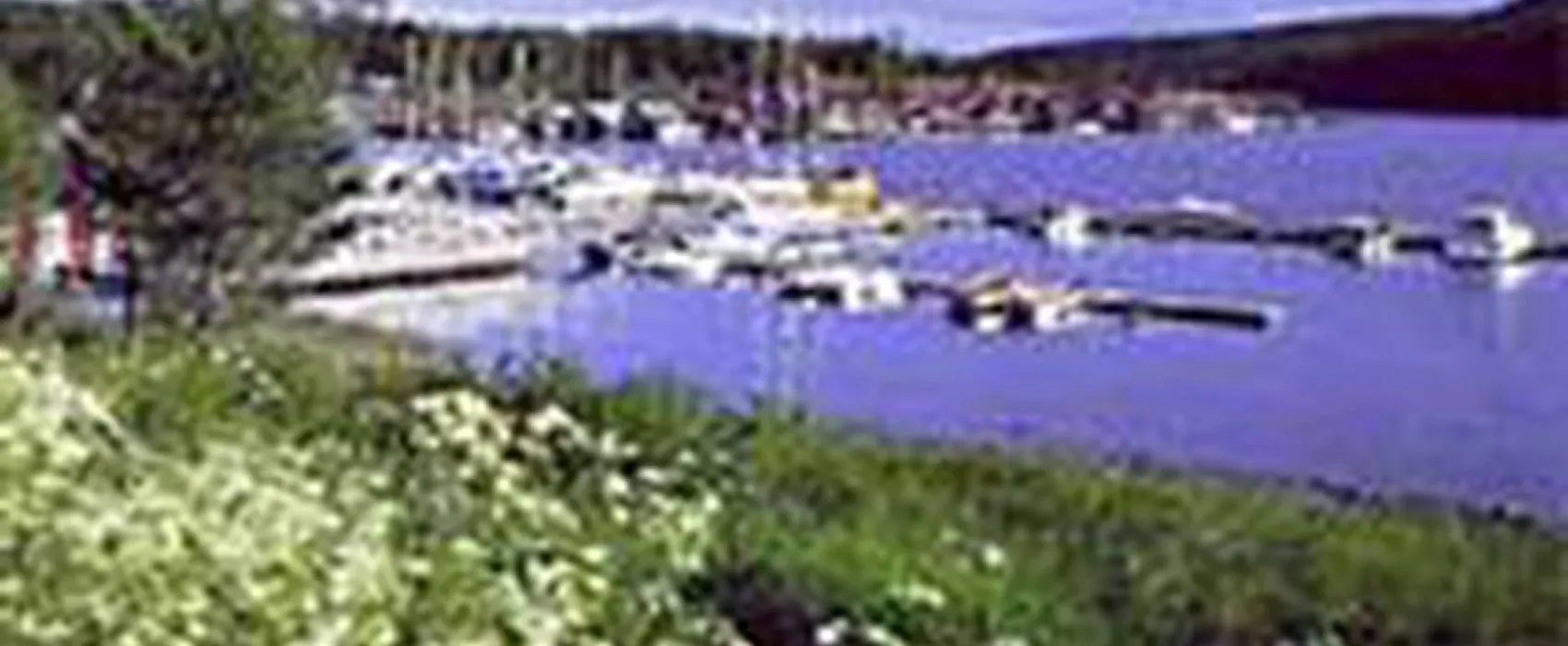 Norrfällsvikens Camping & Stugby