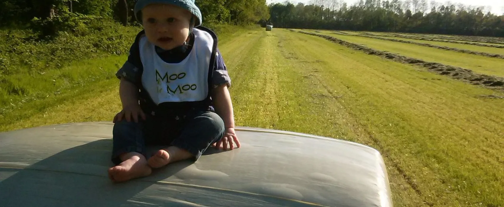 Groepsaccommodatie Kampeerboerderij De Kiek