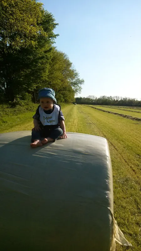 Groepsaccommodatie Kampeerboerderij De Kiek