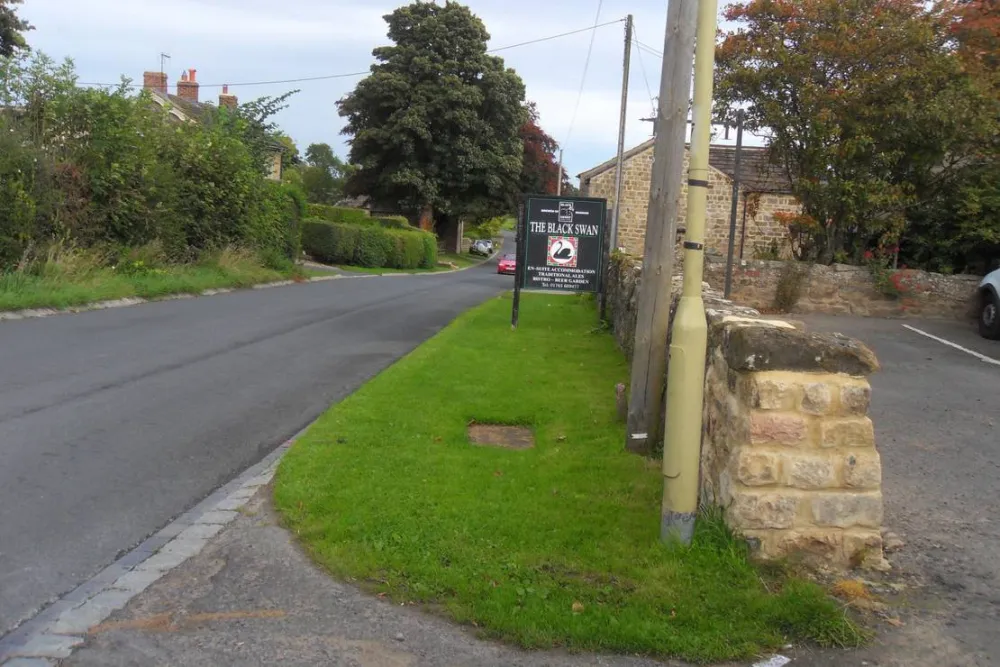Black Swan Country Park