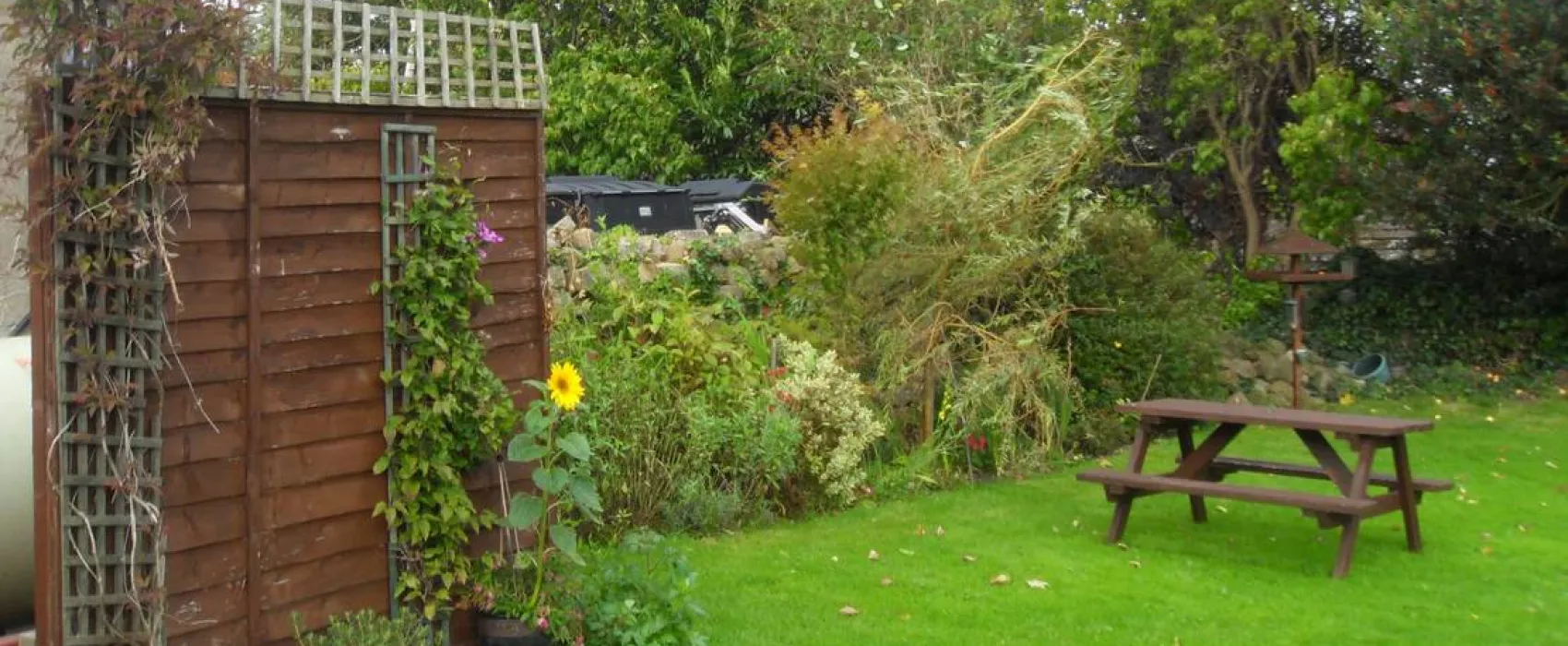 Black Swan Country Park