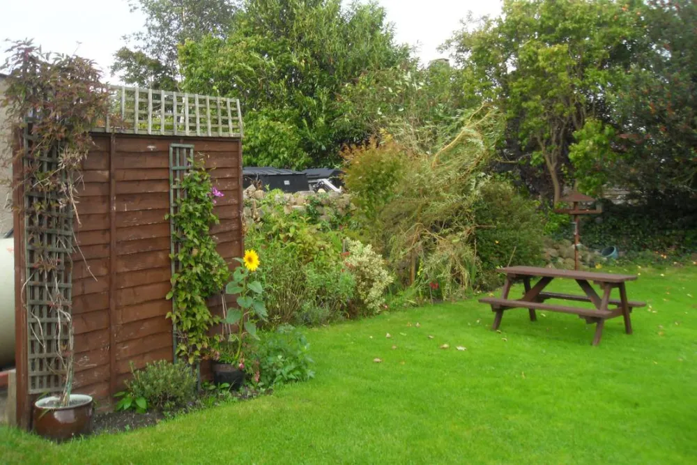 Black Swan Country Park