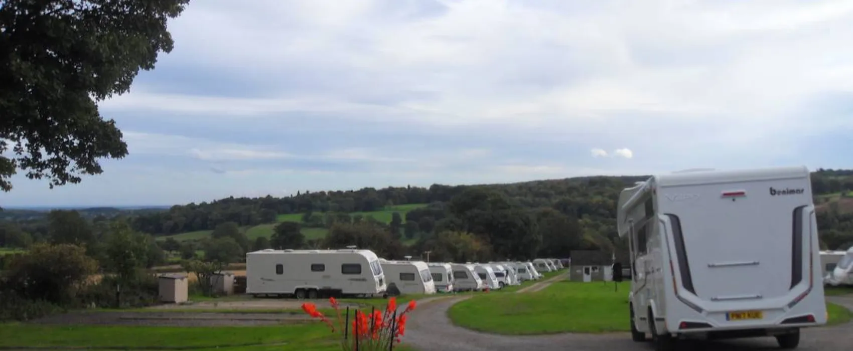 Black Swan Country Park