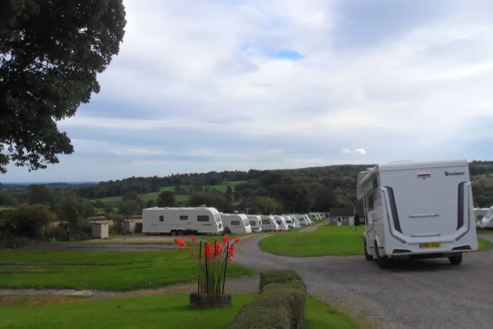 Black Swan Country Park