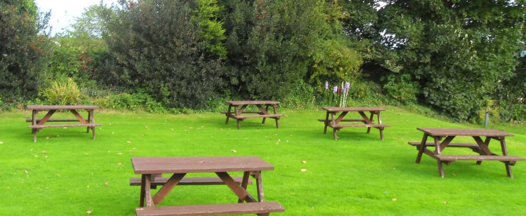 Black Swan Country Park