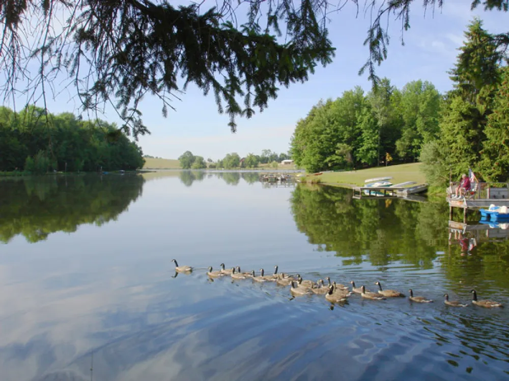 Pine Cradle Lake Family Campground
