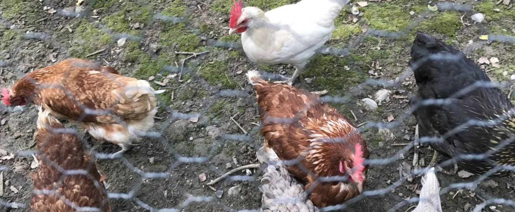 Naturcamping Braunsbach