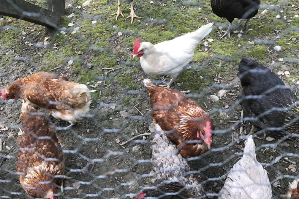 Naturcamping Braunsbach