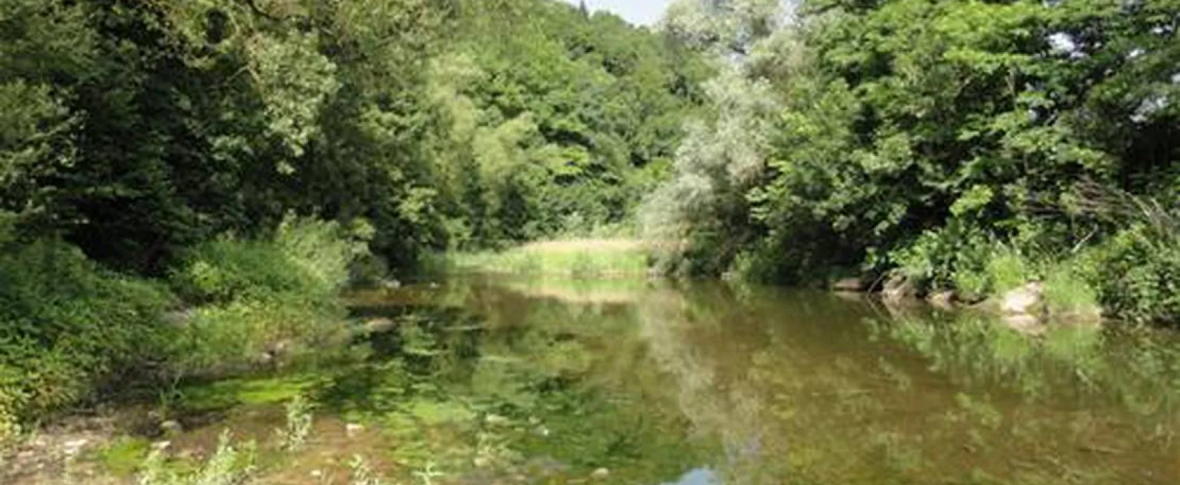 Naturcamping Braunsbach