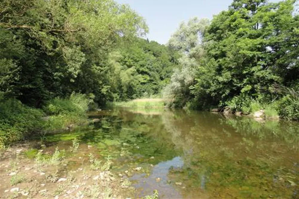 Naturcamping Braunsbach