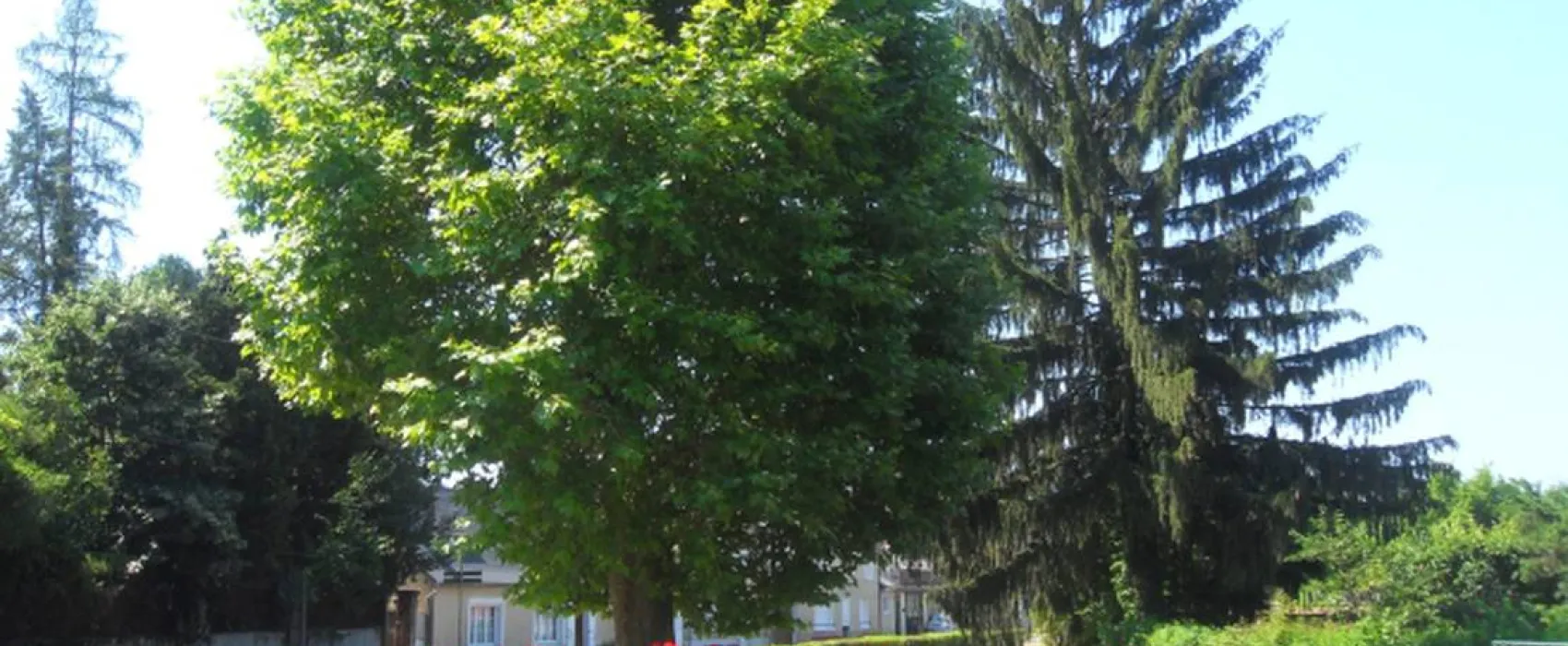 Camping Caravaning Municipal