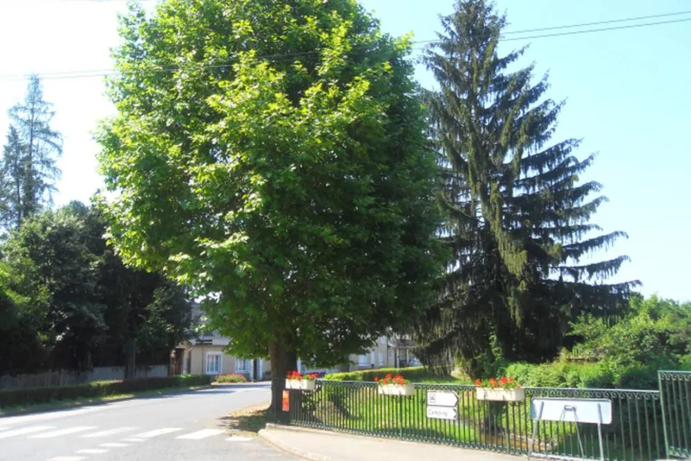 Camping Caravaning Municipal