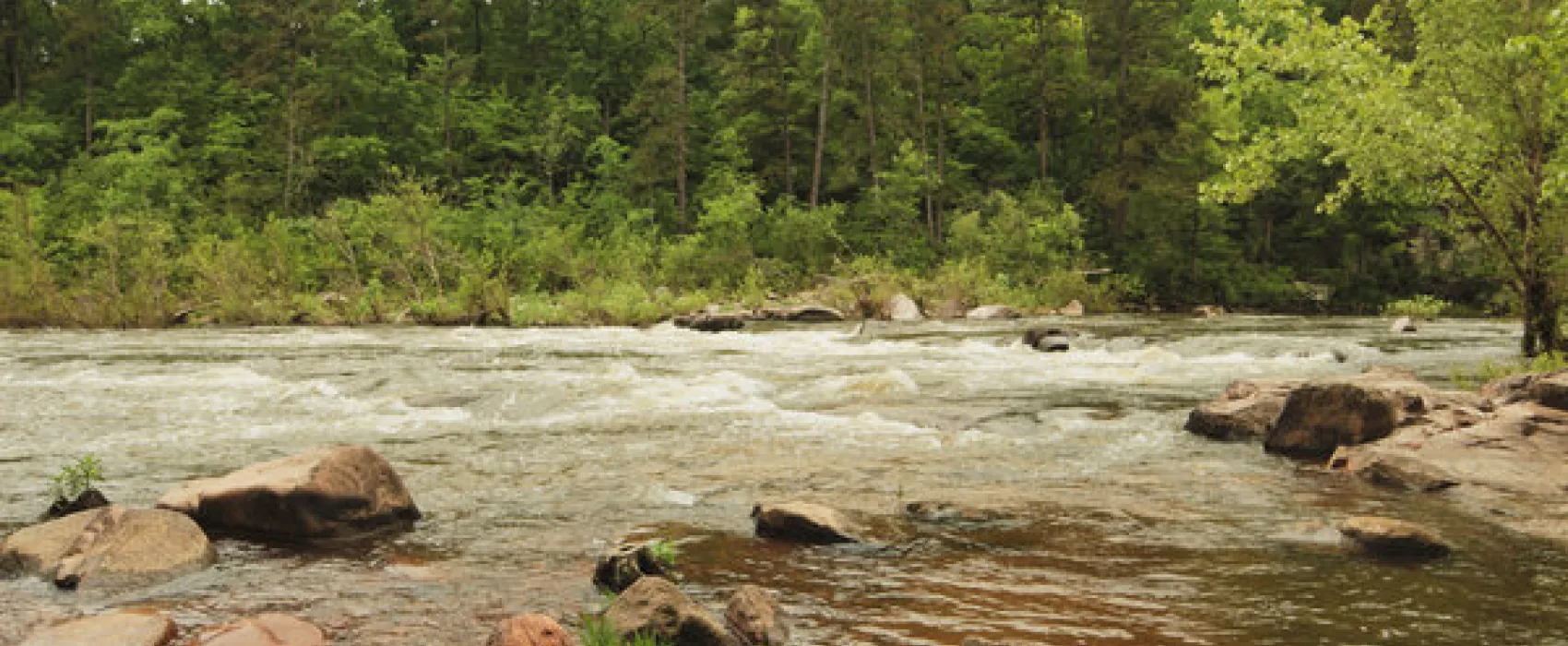 Silver Mines Campground