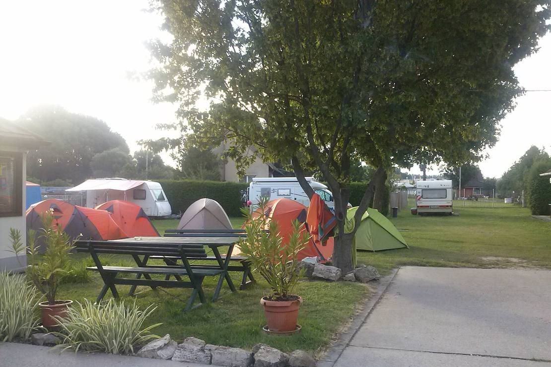 HALÁSZKERT VENDÉGLŐ CAMPING photo 4