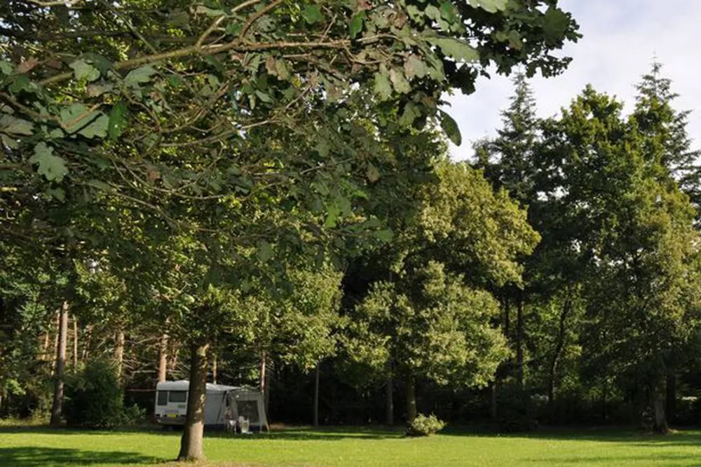 Mini-camping ’s Koonings Veld