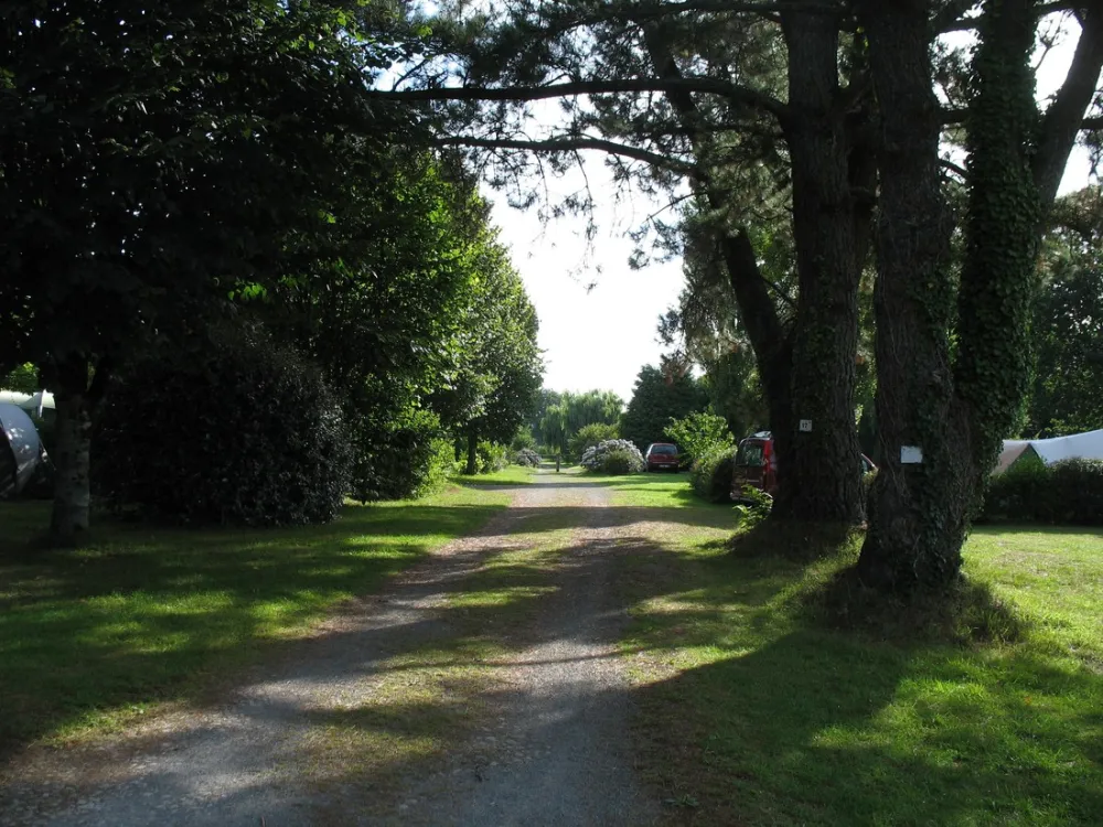 Vert de Creac'h Lann