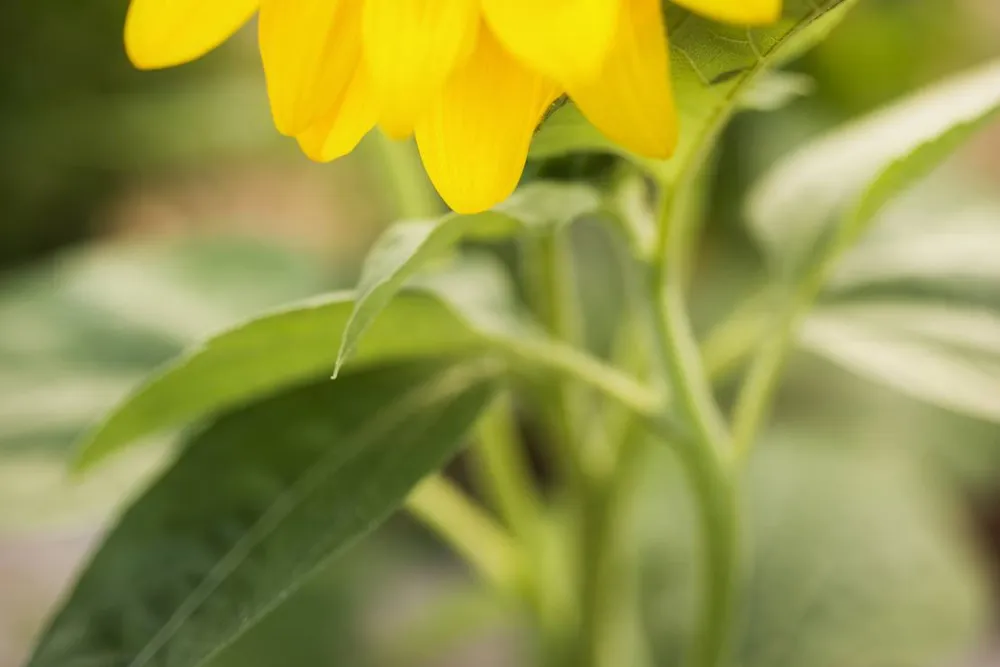 Campsite/Camper stop Biokovo, Croatia