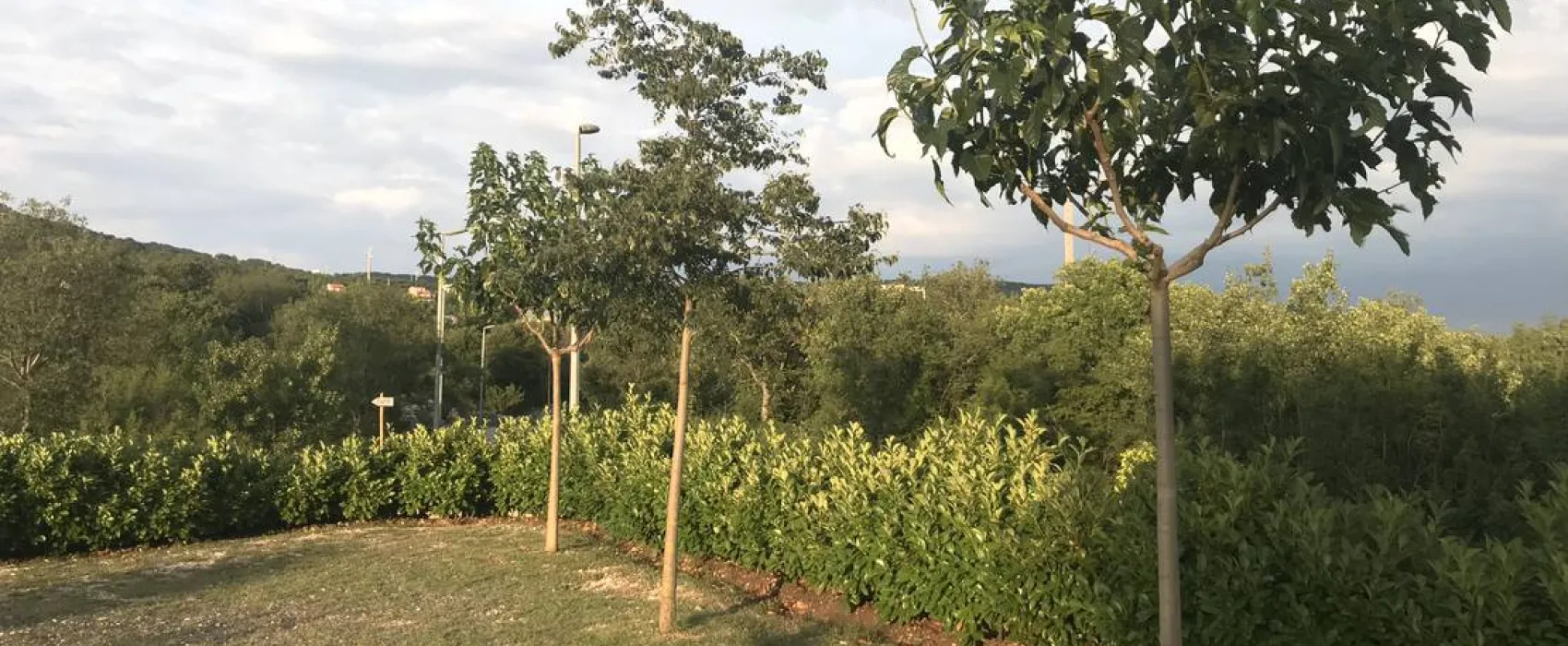 Campsite/Camper stop Biokovo, Croatia