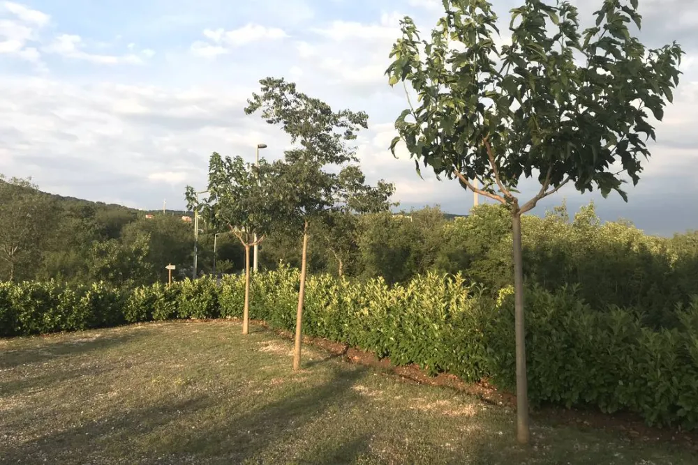 Campsite/Camper stop Biokovo, Croatia