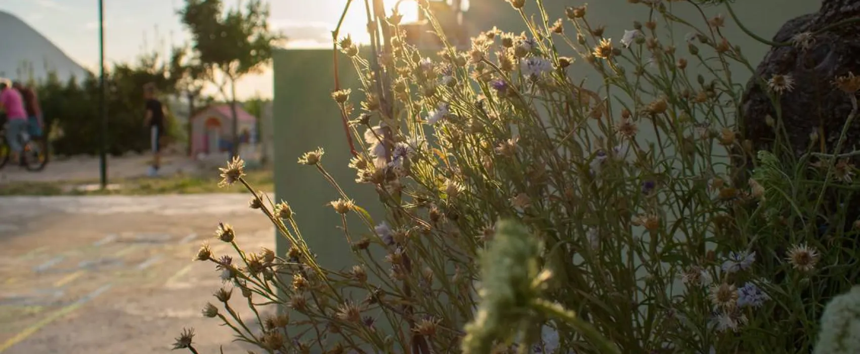 Campsite/Camper stop Biokovo, Croatia