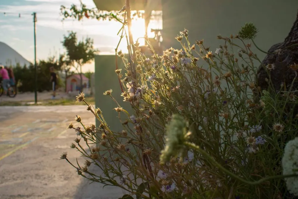 Campsite/Camper stop Biokovo, Croatia