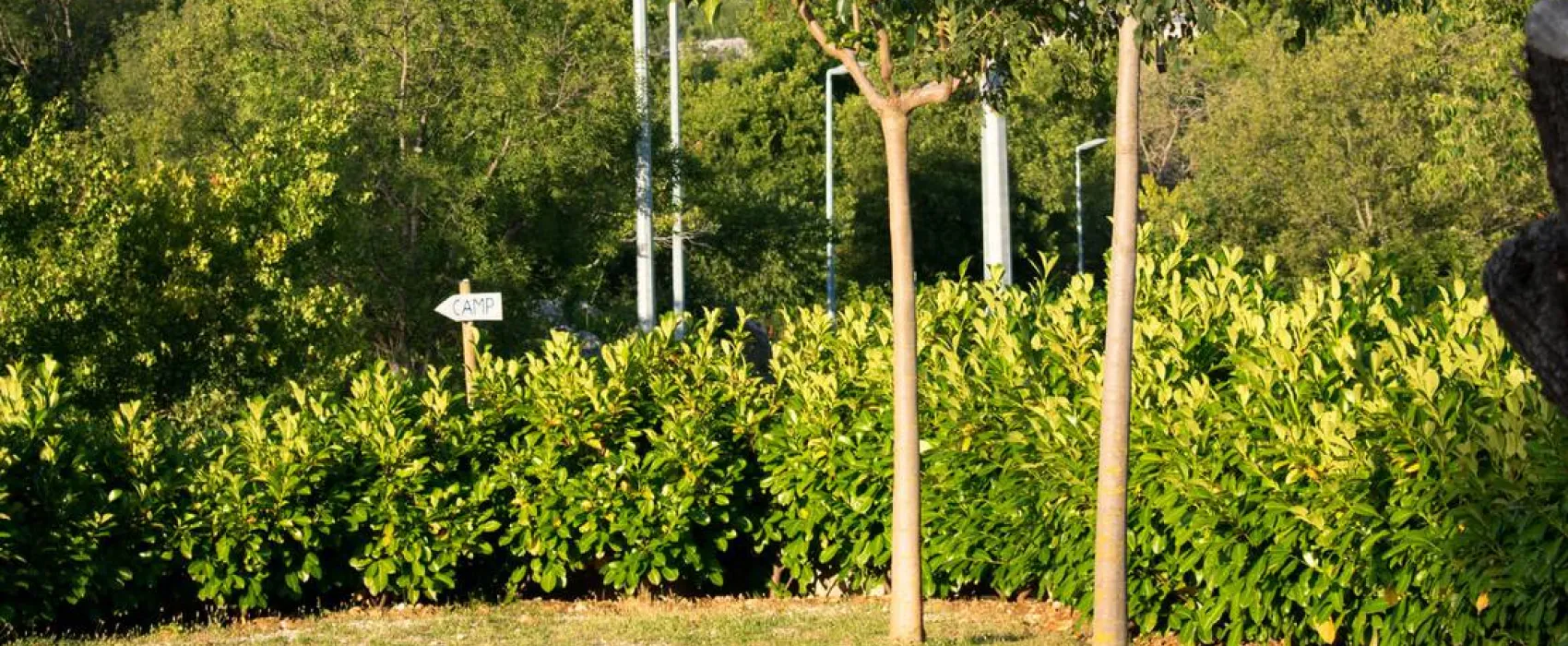 Campsite/Camper stop Biokovo, Croatia