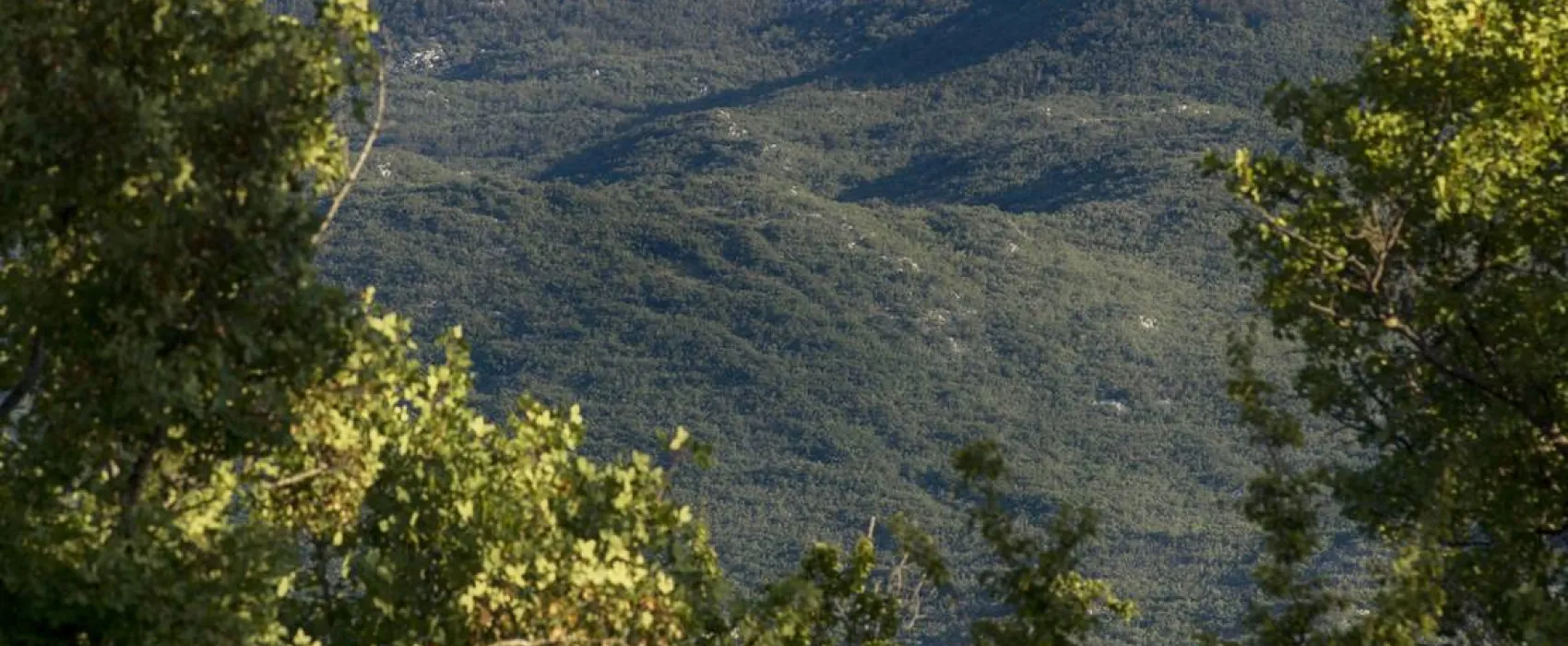 Campsite/Camper stop Biokovo, Croatia